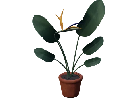 Actual RealityKit Bird of Paradise plant