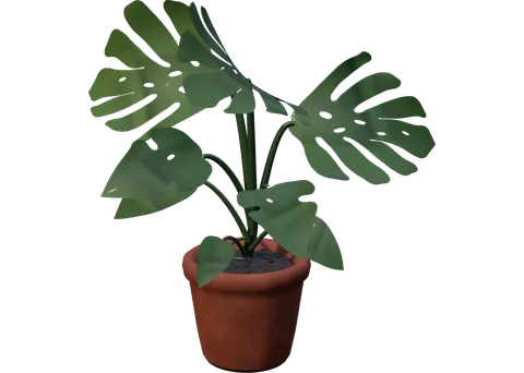 Actual RealityKit Monstera plant