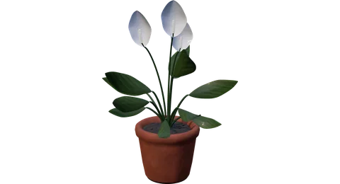 Actual RealityKit Peace Lily plant
