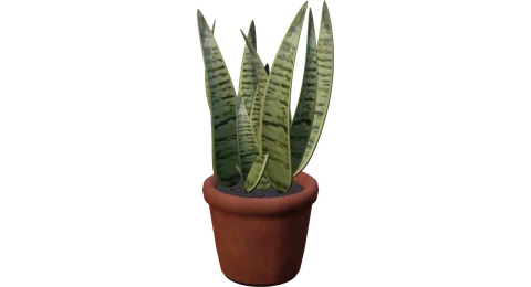Actual RealityKit Snake Plant plant
